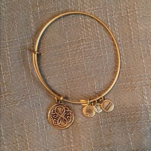 Alex and Ani Infinity Bracelet